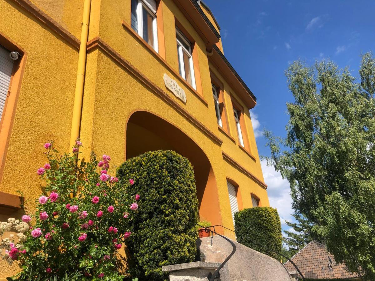 Loft Mon Soleil Daire Le Hohwald Dış mekan fotoğraf