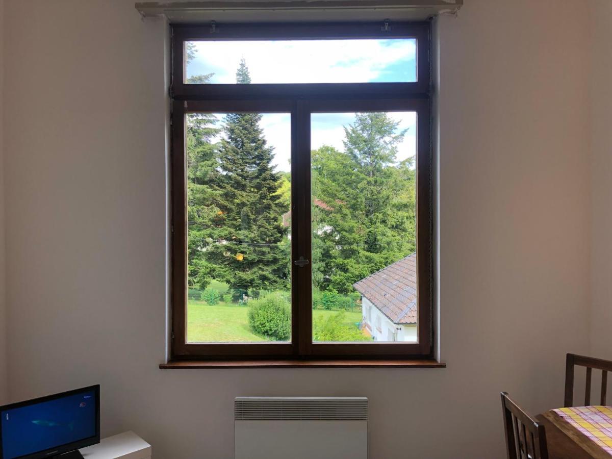 Loft Mon Soleil Daire Le Hohwald Dış mekan fotoğraf